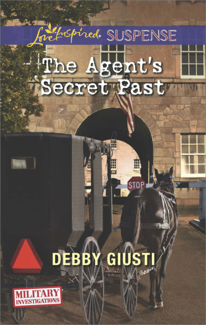 Скачать книгу The Agent's Secret Past