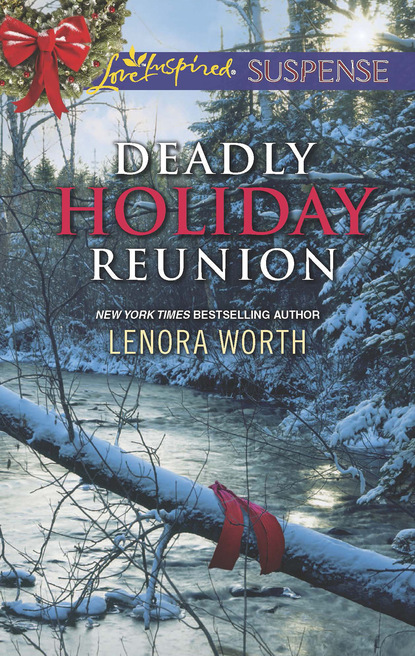 Скачать книгу Deadly Holiday Reunion