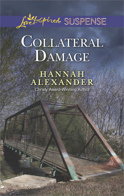 Скачать книгу Collateral Damage