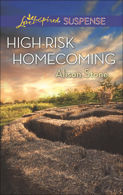 Скачать книгу High-Risk Homecoming