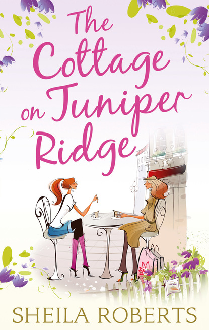 Скачать книгу The Cottage on Juniper Ridge