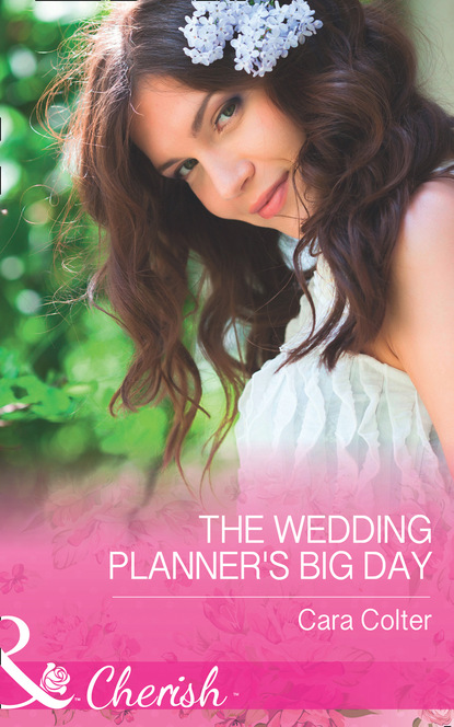 Скачать книгу The Wedding Planner's Big Day