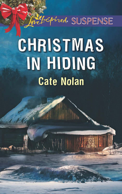 Скачать книгу Christmas In Hiding