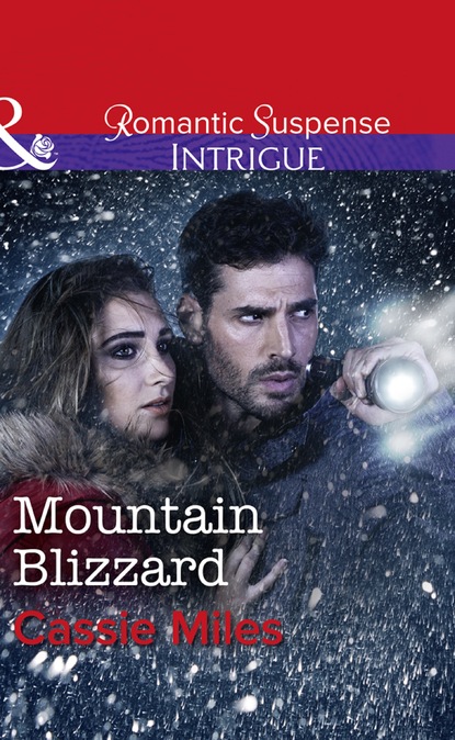 Скачать книгу Mountain Blizzard