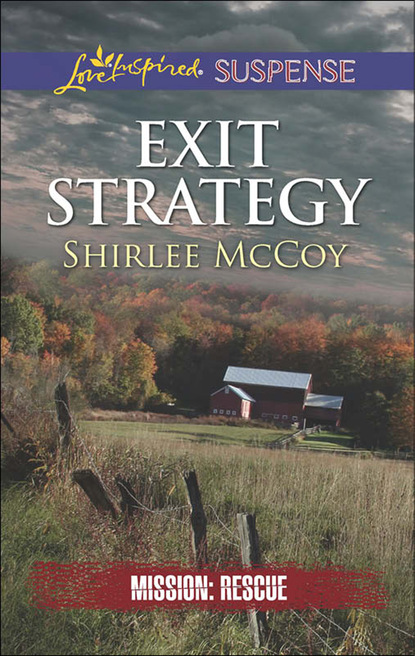 Скачать книгу Exit Strategy
