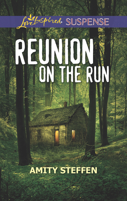Скачать книгу Reunion On The Run