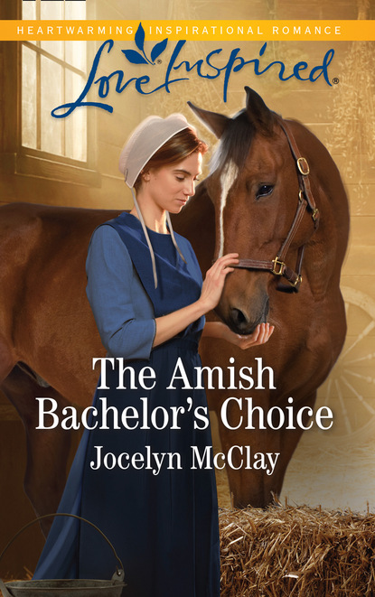 Скачать книгу The Amish Bachelor's Choice