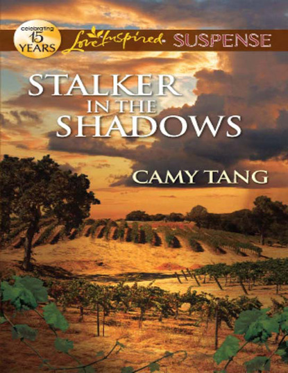 Скачать книгу Stalker in the Shadows
