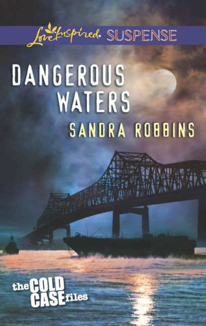 Скачать книгу Dangerous Waters