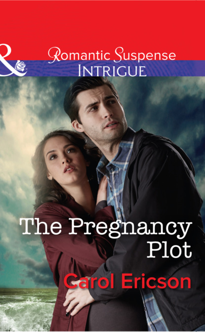 Скачать книгу The Pregnancy Plot