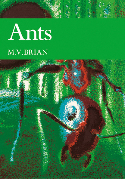 Скачать книгу Ants