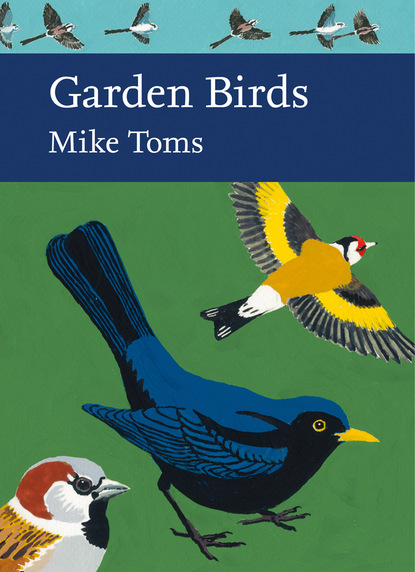 Скачать книгу Garden Birds