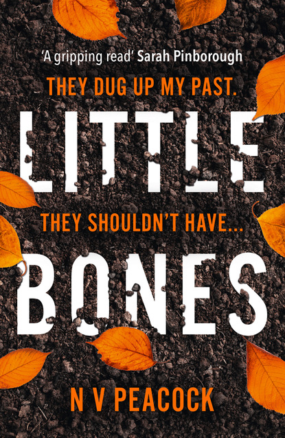 Скачать книгу Little Bones