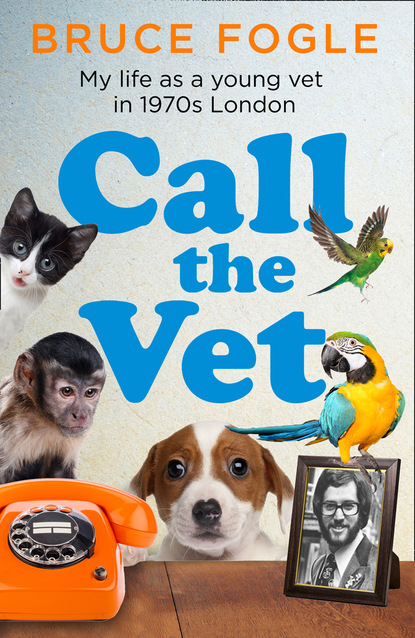 Скачать книгу Call the Vet