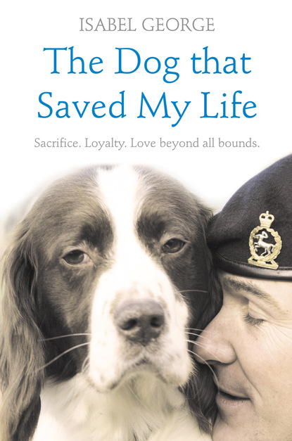 Скачать книгу The Dog that Saved My Life