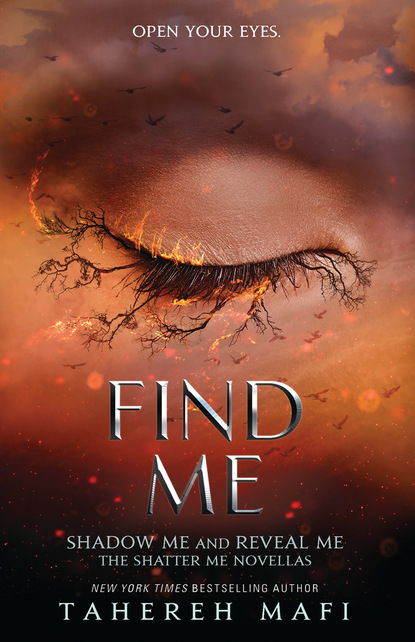 Скачать книгу Find Me