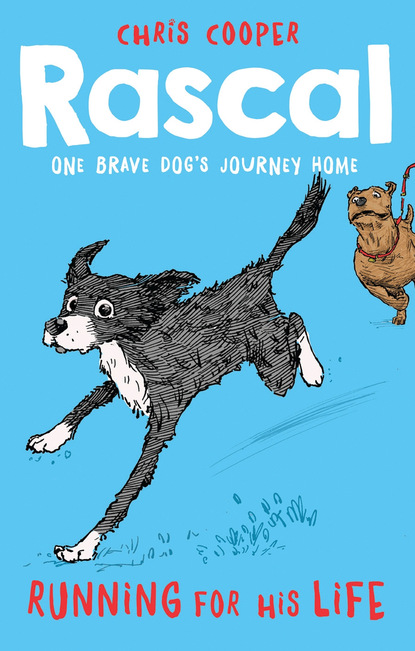 Скачать книгу Rascal: Running For His Life