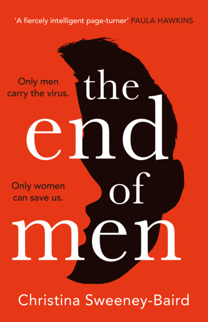 Скачать книгу The End of Men