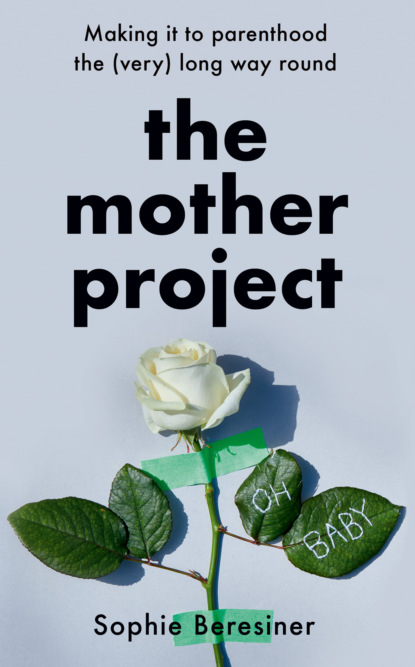 Скачать книгу The Mother Project