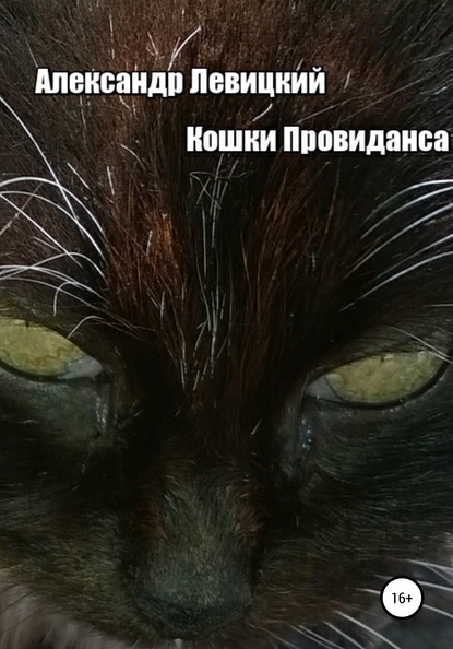 Скачать книгу Кошки Провиданса