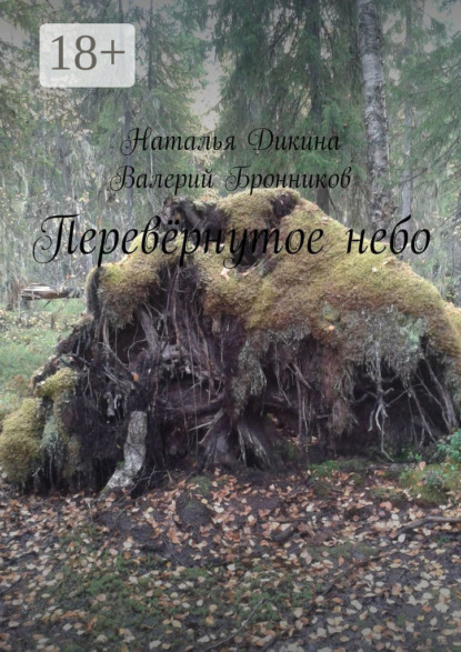 Скачать книгу Перевёрнутое небо
