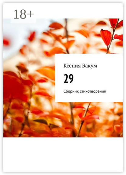 Скачать книгу 29. Сборник стихотворений