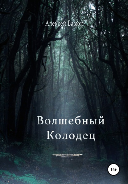 Скачать книгу Волшебный колодец
