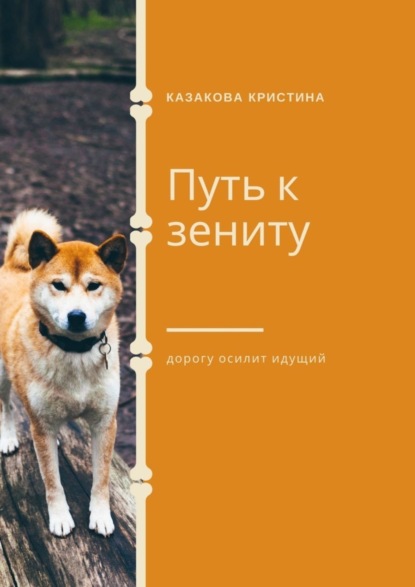 Скачать книгу Путь к зениту