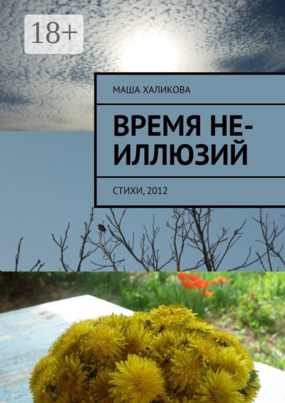 Скачать книгу Время не-иллюзий. Стихи, 2012