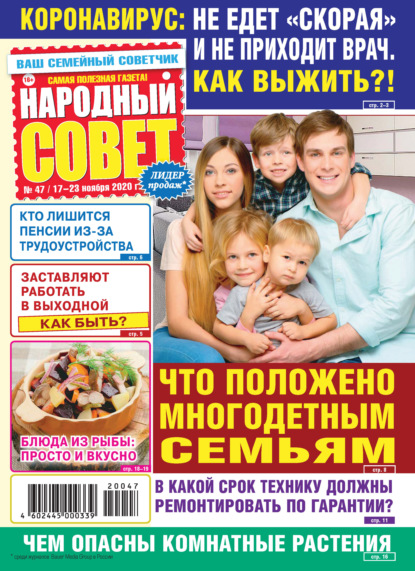 Скачать книгу Народный совет №47/2020
