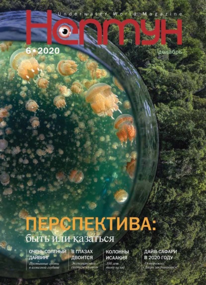 Скачать книгу Нептун №6/2020