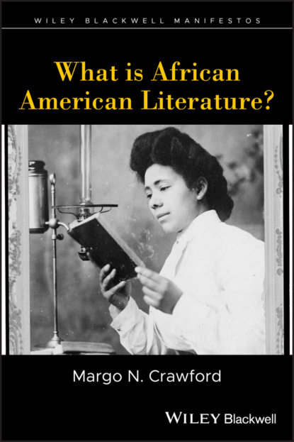 Скачать книгу What is African American Literature?