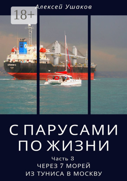 Скачать книгу С парусами по жизни. Часть 3. Через 7 морей из Туниса в Москву