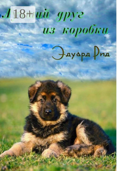 Скачать книгу Лучший друг из коробки