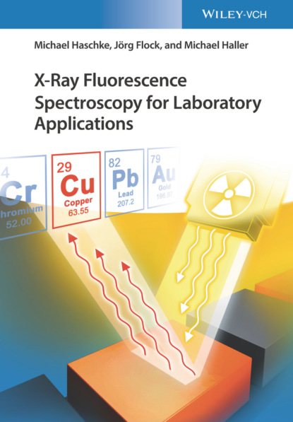 Скачать книгу X-Ray Fluorescence Spectroscopy for Laboratory Applications