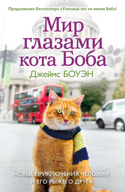 Скачать книгу Мир глазами кота Боба. Новые приключения человека и его рыжего друга