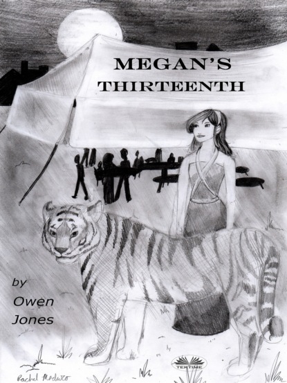 Скачать книгу Megan's Thirteenth