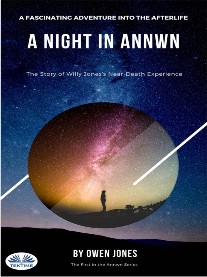 Скачать книгу A Night In Annwn