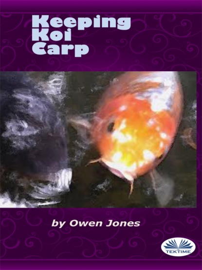 Скачать книгу Keeping Koi Carp