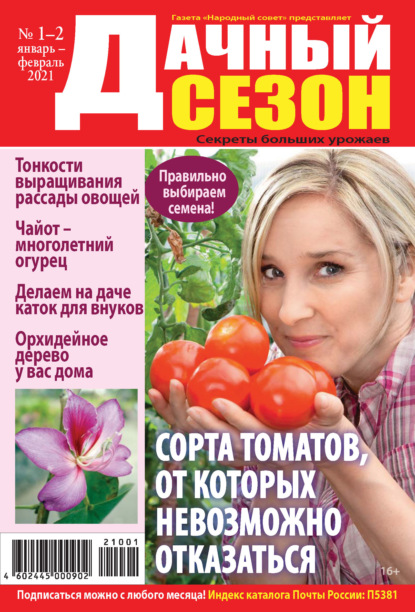 Скачать книгу Дачный сезон №01-02/2021