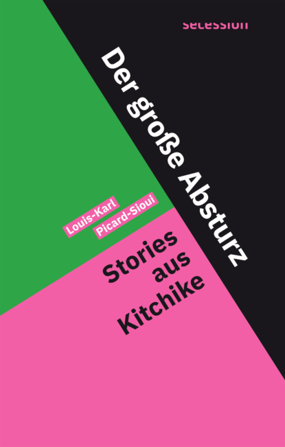 Скачать книгу Der große Absturz