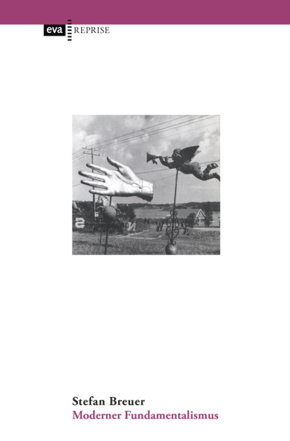 Скачать книгу Moderner Fundamentalismus