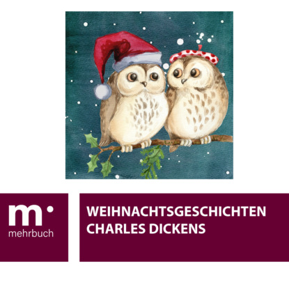 Скачать книгу Weihnachtsgeschichten
