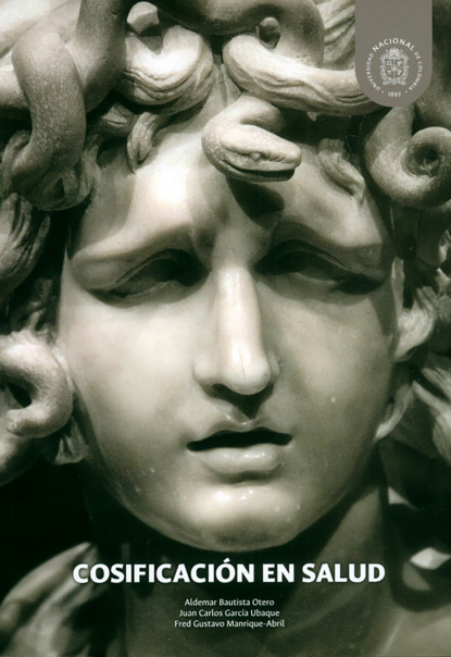 Скачать книгу Cosificación en salud