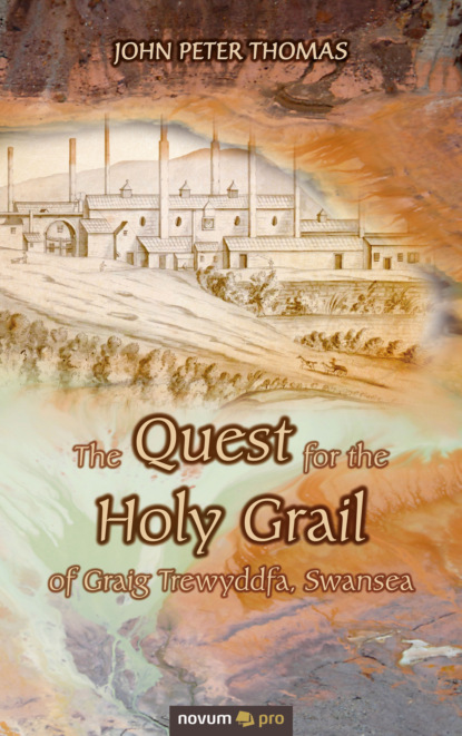 Скачать книгу The Quest for the Holy Grail of Graig Trewyddfa, Swansea