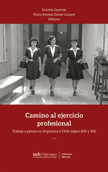 Скачать книгу Camino al ejercicio profesional