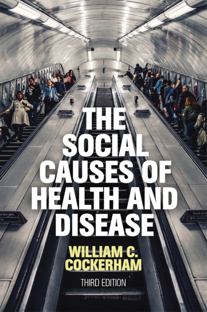 Скачать книгу The Social Causes of Health and Disease