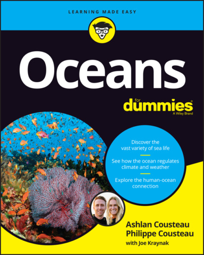 Скачать книгу Oceans For Dummies