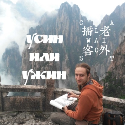 Скачать книгу Усин или ужин - дискуссия с Андреем Щербаковым