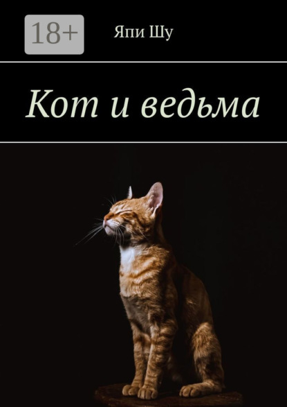 Скачать книгу Кот и ведьма
